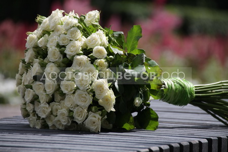 Букет из роз "Белые кустовые розы"